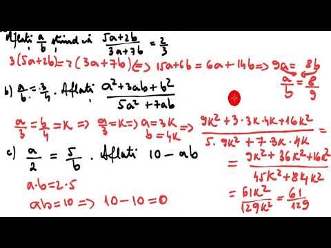 11. Rapoarte și proporții