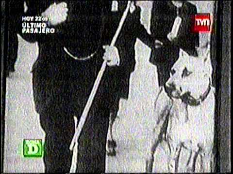 Nuestro Siglo 1929 1938