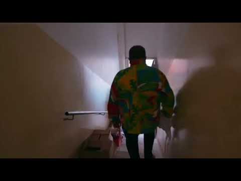 meme você é a vergonha da profissão