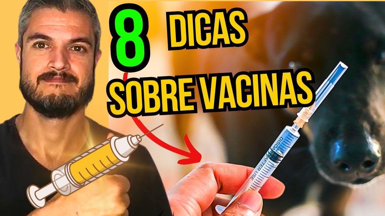 QUAL MELHOR VACINA PARA CACHORRO QUANTAS DOSES APLICAR NO CÃO FILHOTE QUANDO VACINAR REAÇÃO ALÉRGICA