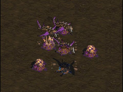 16 Oct 2020 Modstream - HYDRA art