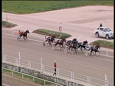 Trotto 22/11/2019 - 3ª corsa
