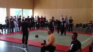 preview picture of video 'Bujutsu Turnier Weesen 2012 R.D. Uster vs. Robin Wildhaber Mels.MOV'
