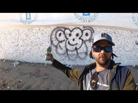 Graffiti Vandalism in The Cotton Field