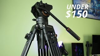 The BEST Budget Video Tripod! | Cayer BV30 Review