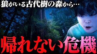 【事件発生】アメリカにある『オオカミのいる古代樹の森』に行ってみた結果……。