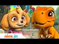PAW Patrol Pups Celebrate Baby Dino S Birthday Nick Jr