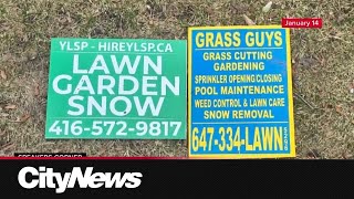 Employees of GTA snow and landscaping company still waiting to get paid