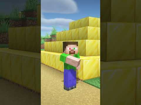 The different types of players in Minecraft 1 #shorts