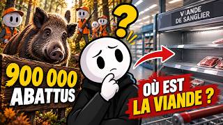 900 000 SANGLIERS ABATTUS EN FRANCE… ALORS POURQUOI SI PEU AU SUPERMARCHÉ ?