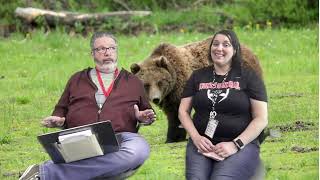 Download lagu GGS Ep  8 mp3