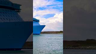 Utopia of the Seas 🛳️ #like #share #comment #subscribe #cruiseship #cruise #vacation #shorts #short