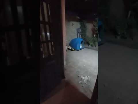 Allanaron por error la vivienda de una docente en Centenario - Minuto Neuquén