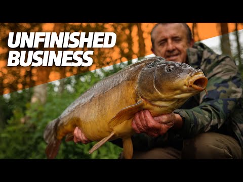 Frank is back for redemption in the 48 hour challenge!