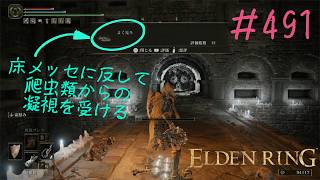 ♯491【今さら初見のELDEN RING】サソリ川の地下墓が思いのほか長すぎる！　分岐ルートが多いせいで、どこから手を出すべきか大混乱です