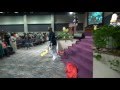 Evangel Fellowship (COGIC) REAP by JJ Hairston & Youthful Praise - Choir and Flags angle