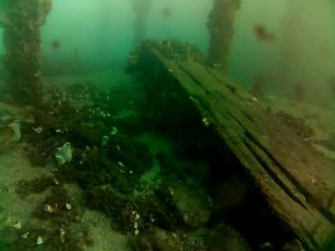 Edithburgh Live by AusOcean 11/07/2023