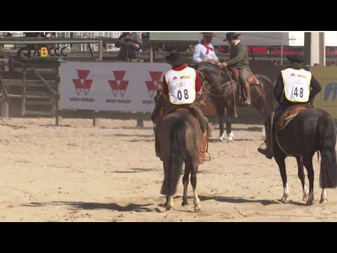 Final do Freio de Ouro 2019 - Prova de Campo - 1ª fase (Fêmeas e Machos)