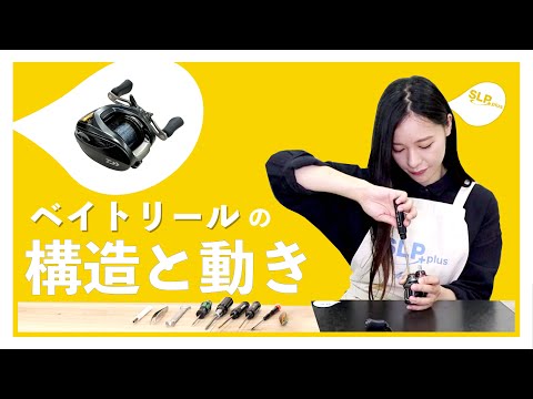 LTZについて詳しく解説