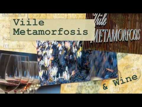 Bike & Wine - Vadu Sapat