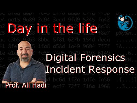 Day in the Life of DFIR - interview with Professor Ali Hadi, Ph.D., Senior Cybersecurity Specialist.