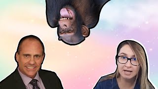 84% Chimpanzee: The NONSENSE CREATIONISM of Jeffery Tomkins