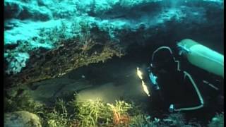 SCARICARE MP3 COUSTEAU