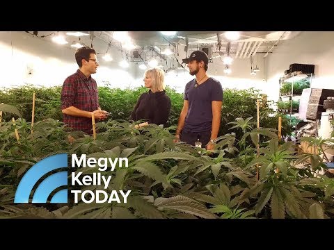 How Legalized Marijuana Is Changing One California Town | Megyn Kelly TODAY