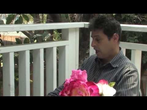 Vernon Mahabal reads my palm