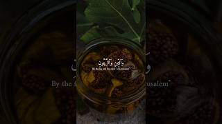 Download lagu Surah At Tin | Mishary Rashid Al Afasy | Quranic Recitations | #havemercy #religion #quran mp3