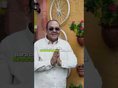 Cierra el año sanando desde el alma 🌿 Detox 555