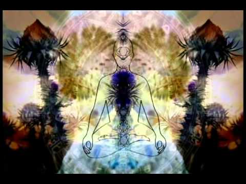 Deadhead / Psynetyk / DataLordz