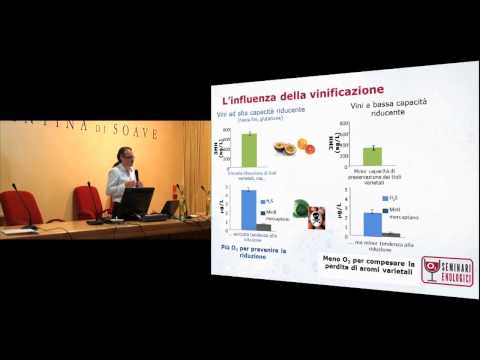 Seminari Enologici - Dott. Maurizio Ugliano - Giovedi 13 Giugno 2013 - Borgo Rocca Sveva