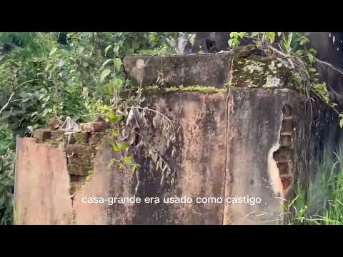 A fazenda da chacara localizada no município de Rio espera Minas gerais.