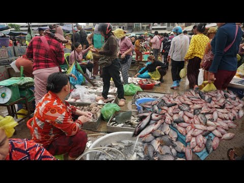 Chbar Ampov Fish Market in The Morning - Many Dry Fish, Fish, Egg Fish, Seafood & More Selling Here