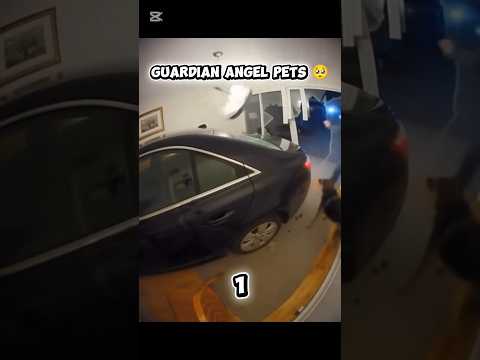 Phillies land All-Star closer Jhoan Duran ahead of MLB trade deadline 👀🔥 #JhoanDuran