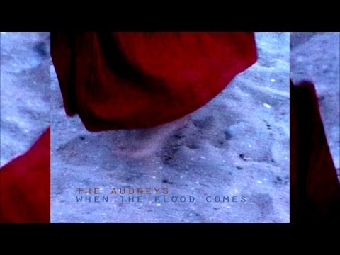 THE AUDREYS - when the flood comes...