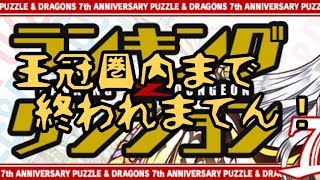 【パズドラ】7周年記念杯参ります【生配信】