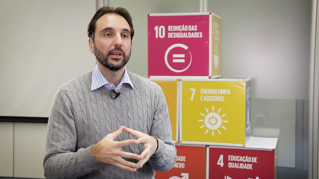 O Brasil e os Objetivos de Desenvolvimento Sustentável