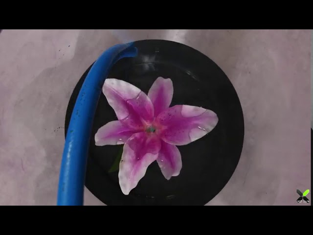 Как снимают 360-градусные замедленные ролики