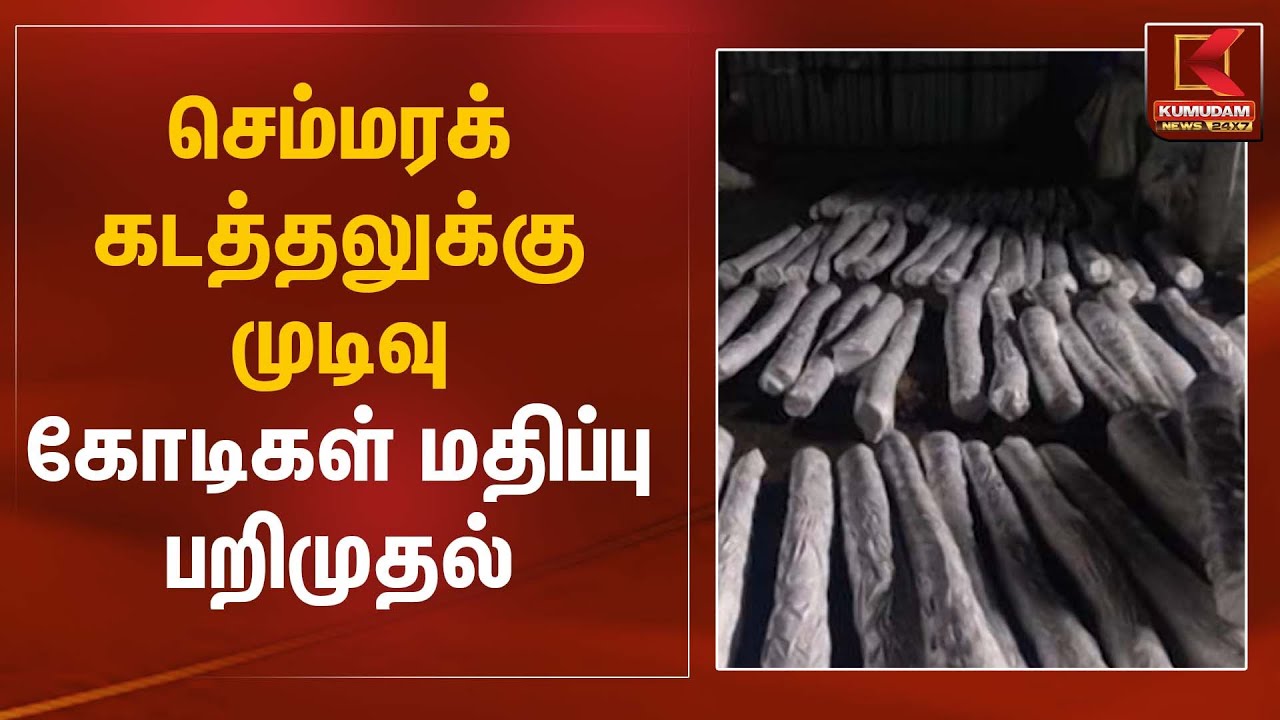 Red Sandalwood Smuggling | செம்மரக் கடத்தலுக்கு முடிவு – கோடிகள் மதிப்பு பறிமுதல் | Kumudam News