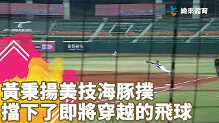 [分享] 台鋼雄鷹黃秉揚---超級海豚撲 Nice Play