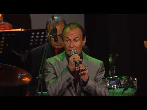 EL ELEVAO LOS GOLDEN BOYS EN LA VIEJOTECA 2017