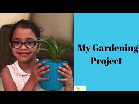 Home Gardening Project by Spruha | Indoor Plants | Home Gardening | Maddy Mantra