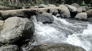 [Nature sounds] Water Flows Fast between River Rocks will make you calm and relax