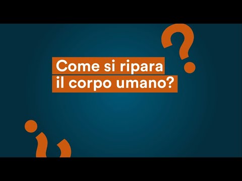 Come si ripara il corpo umano?