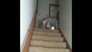 Anand Crawling Stairs