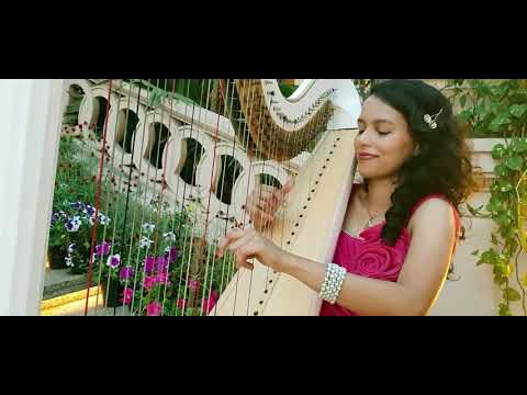 Din Shagna Da