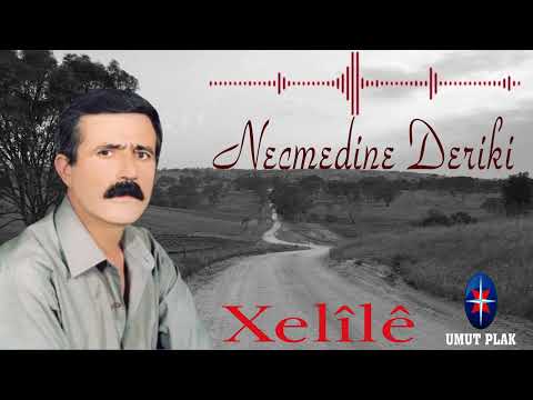 Necmedine Deriki  - Kürtçe Yürek Yakan Dertli Uzun Havalar [ Kürtçe Dengbeji ]✔️