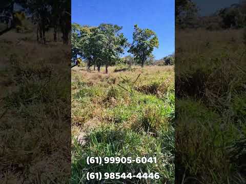 🚨 EXCELENTE FAZENDA À VENDA EM PADRE BERNARDO – GOIÁS 🚨